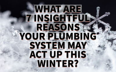 WHAT ARE 7 INSIGHTFUL REASONS YOUR PLUMBING SYSTEM MAY ACT UP THIS WINTER?     